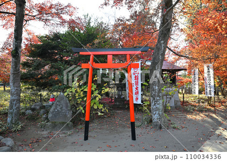 稲荷大明神 紅葉の風景 多聞院境内 所沢市 稲荷大明神 紅葉の風景 多聞院境内 所沢市 110034336