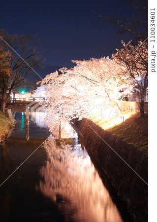春のライトアップされた夜桜 春のライトアップされた夜桜 110034601