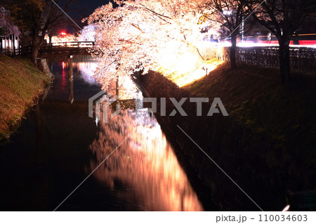 春のライトアップされた夜桜 春のライトアップされた夜桜 110034603