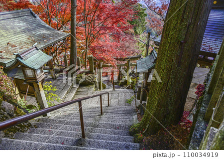 太郎坊宮(太郎坊・阿賀神社)参道の石段 太郎坊宮(太郎坊・阿賀神社)参道の石段 110034919