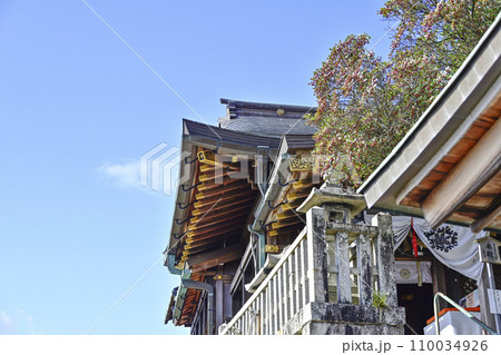 太郎坊宮（太郎坊・阿賀神社）本殿 110034926