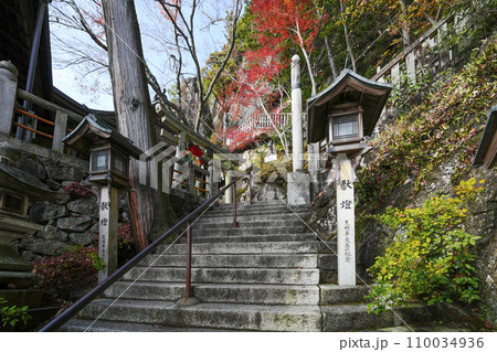 太郎坊宮（太郎坊・阿賀神社）表参道の石段 110034936