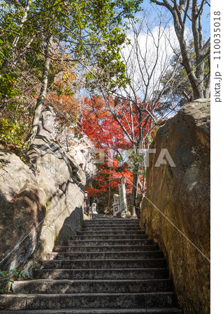 太郎坊宮(太郎坊・阿賀神社)裏参道の紅葉 太郎坊宮(太郎坊・阿賀神社)裏参道の紅葉 110035018