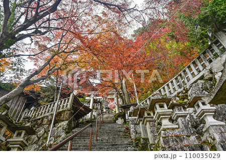 太郎坊宮(太郎坊・阿賀神社)表参道 太郎坊宮(太郎坊・阿賀神社)表参道 110035029