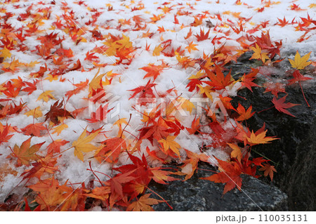 石垣と雪と紅葉の落ち葉、イメージ 110035131