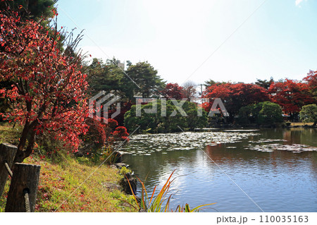 秋の旧南部氏別邸庭園 秋の旧南部氏別邸庭園 110035163