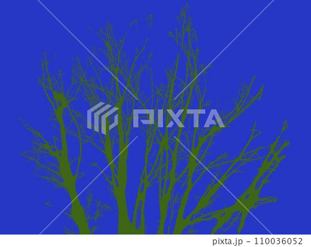 olive colored tree on blue background olive colored tree on blue background 110036052