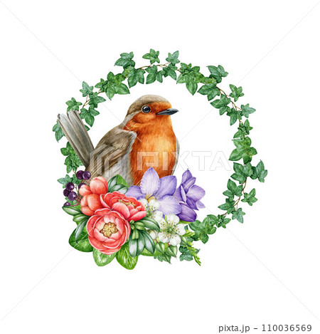 Robin bird with floral decoration. Watercolor painted illustration. Hand drawn Garden bird with tender flower and ivy leaves. Sweet cozy decor element. Robin with flowers on white background 110036569