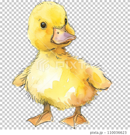 Duck 110036623