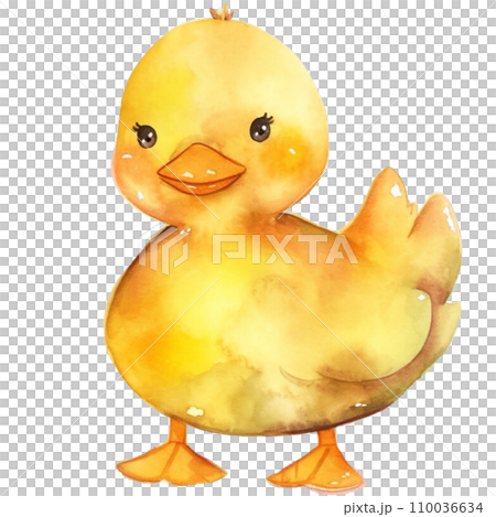 Duck 110036634