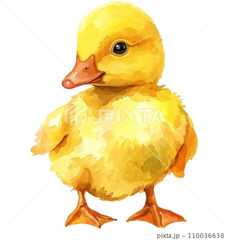Duck 110036638