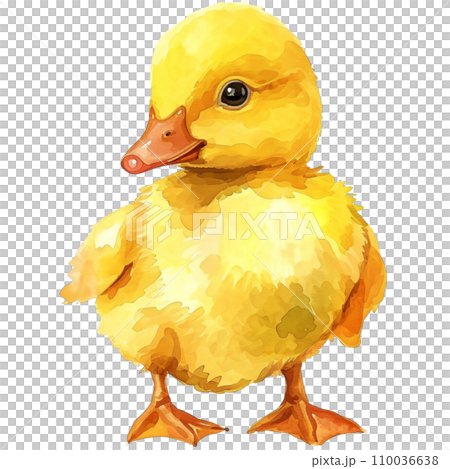 Duck 110036638