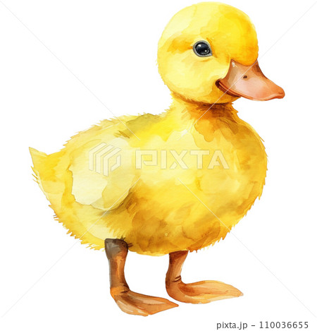 Duck 110036655