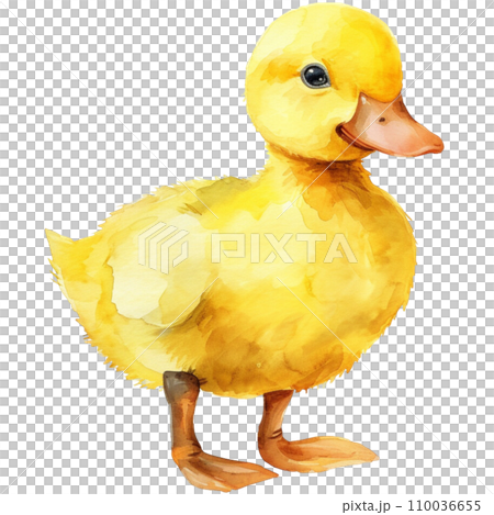 Duck 110036655