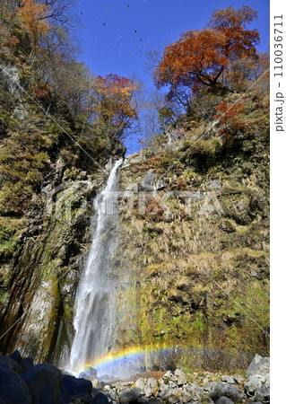 赤城山南面の虹架かる滝沢の不動滝に落葉舞う 110036711