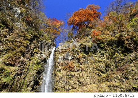 赤城山南面の滝沢の不動滝 110036715