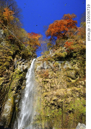 赤城山南面の滝沢の不動滝 110036719