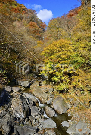 赤城山南面の紅葉する渓谷に滝沢の不動滝を遠望 110036732