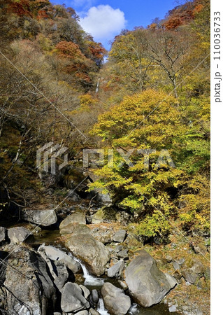 赤城山南面の紅葉する渓谷に滝沢の不動滝を遠望 赤城山南面の紅葉する渓谷に滝沢の不動滝を遠望 110036733