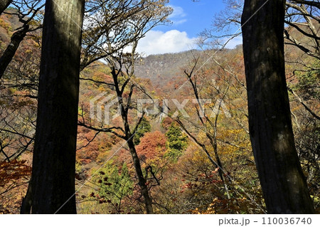 赤城山南面の紅葉する渓谷に滝沢の不動滝を遠望 赤城山南面の紅葉する渓谷に滝沢の不動滝を遠望 110036740