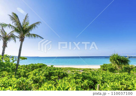 ブセナ海中公園の白い砂浜と青い海　沖縄県名護市 110037100