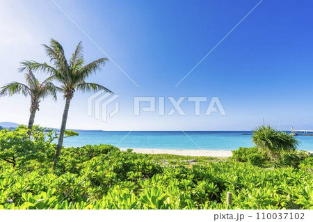 ブセナ海中公園の白い砂浜と青い海　沖縄県名護市 110037102