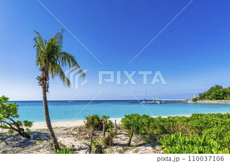 ブセナ海中公園の白い砂浜と青い海　沖縄県名護市 110037106