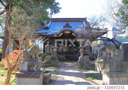 森巌寺(しんがんじ)淡島堂 東京都世田谷区 森巌寺(しんがんじ)淡島堂 東京都世田谷区 110037231