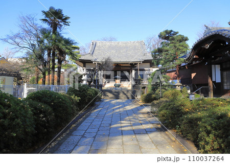 森巌寺（しんがんじ）本堂　東京都世田谷区　　 110037264