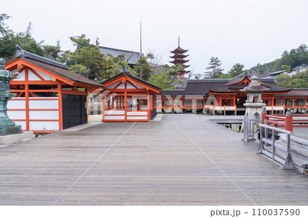 宮島 厳島神社 世界遺産の社殿 宮島 厳島神社 世界遺産の社殿 110037590