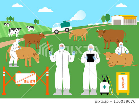 situation in which cow are being quarantined situation in which cow are being quarantined 110039076