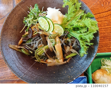 山菜とすだちのさっぱり蕎麦 110040157