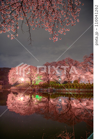 鹿の川沼の春 鹿の川沼の春 110041262