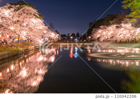 《新潟県》桜満開・春の高田城址公園の夜景 110042206