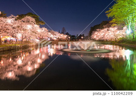 《新潟県》桜満開・春の高田城址公園の夜景 110042209