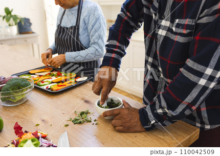 Midsection of diverse senior couple preparing healthy meal with vegetables in kitchen Midsection of diverse senior couple preparing healthy meal with vegetables in kitchen 110042509