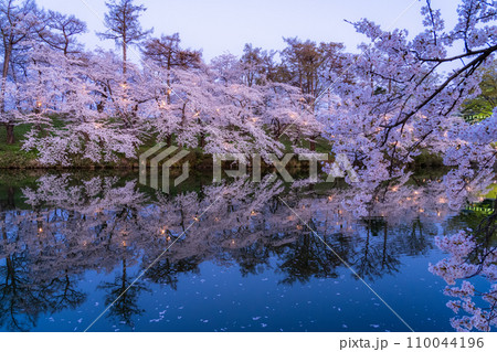《新潟県》桜満開・春の高田城址公園の夜景 《新潟県》桜満開・春の高田城址公園の夜景 110044196
