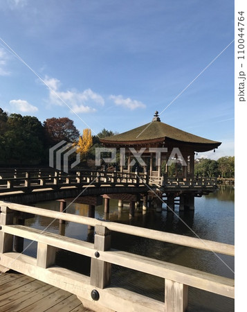 奈良公園 鷺池03 奈良公園 鷺池03 110044764