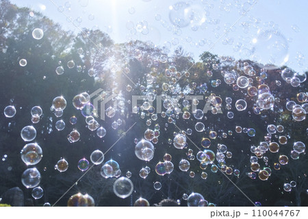 青空とシャボン玉の飛翔 110044767