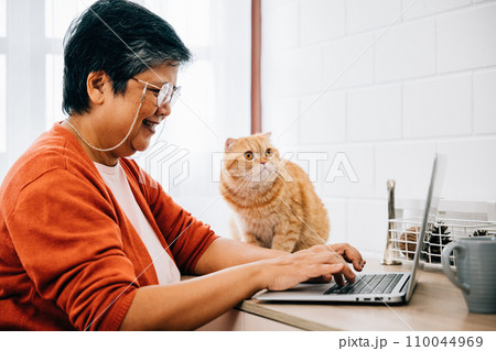 A woman works on her laptop at her desk in the morning, with her elderly cat looking on. Their friendship and togetherness create a heartwarming atmosphere of relaxation and productivity. pet love A woman works on her laptop at her desk in the morning, with her elderly cat looking on. Their friendship and togetherness create a heartwarming atmosphere of relaxation and productivity. pet love 110044969