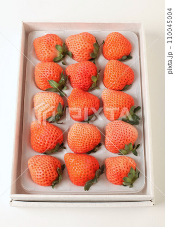 白いちご 110045004