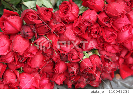 Flowers and garlands for sale at the flower market in Kolkata, West Bengal, India 110045255