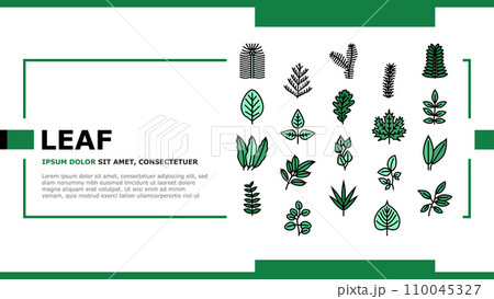 Leaf Of Tree, Bush Or Flower landing header vector 110045327