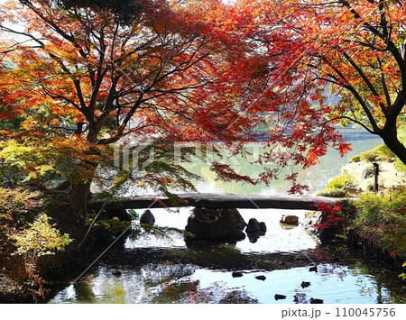 美しい錦秋の公園風景 美しい錦秋の公園風景 110045756