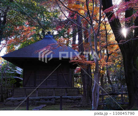 秋、お寺と美しい紅葉 秋、お寺と美しい紅葉 110045790