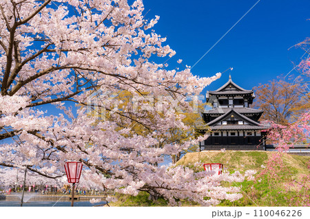 《新潟県》桜満開・春の高田城址公園 110046226