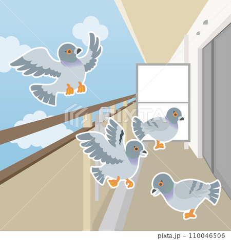鳩よけイラスト 110046506