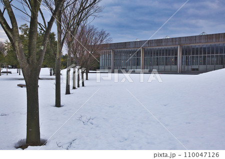 雪の上の世界 雪の上の世界 110047126