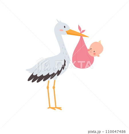 Stork carrying a cute newborn baby in a pink diaper, it's a girl, vector cartoon greeting birthday, baby announcement 110047486