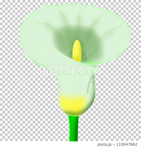 green hairdryer on a white background 110047662
